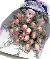 20 Diana roses