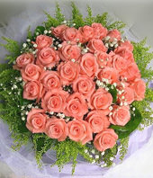 33 Diana roses