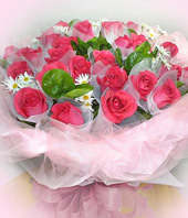 33 the star of East's Peach roses