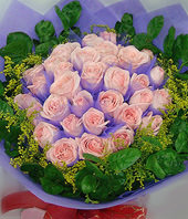 33 Pink roses