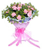 26 pink carnations