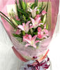 5 Pink lilium