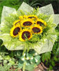 8 Sunflowers