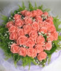 33 Diana roses
