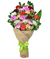 Two dozen bright and cheery carnations