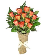 A dozen orange roses arrive perfectly arranged