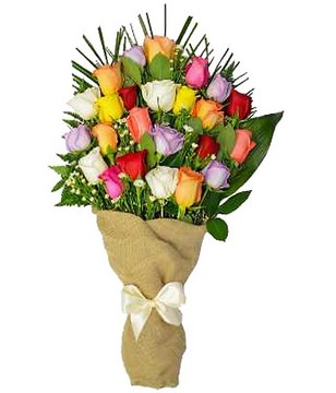 Two dozen mixed roses with greens