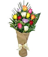 A dozen assorted roses