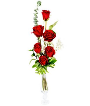 Bouquet of 6 Red Roses