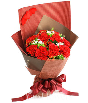 12 Red Carnations,Missing you