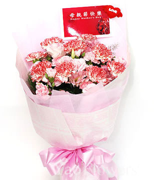 9 Mixed Carnations,Green leaves