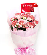 9 Mixed Carnations,Green leaves