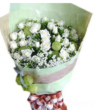 33 White Roses