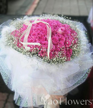 Purple Rose 99 Gypsophila