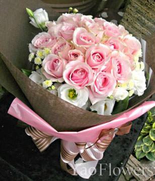 Pink Memory,33 Pink roses