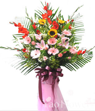 Congratulation. The New Opening,Moving,Advance In Office, Being Promoted. Wedding Ceremony TWCONG12AA023