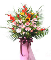 Congratulation. The New Opening,Moving,Advance In Office, Being Promoted. Wedding Ceremony TWCONG12AA023