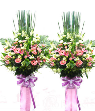Congratulation. The New Opening,Moving,Advance In Office, Being Promoted. Wedding Ceremony TWCONG12AA025