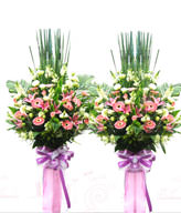 Congratulation. The New Opening,Moving,Advance In Office, Being Promoted. Wedding Ceremony TWCONG12AA025