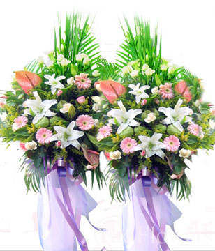 Congratulation. The New Opening,Moving,Advance In Office, Being Promoted. Wedding Ceremony TWCONG12AA022