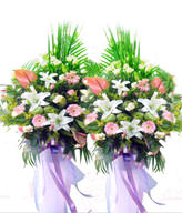 Congratulation. The New Opening,Moving,Advance In Office, Being Promoted. Wedding Ceremony TWCONG12AA022