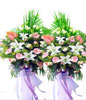 Congratulation. The New Opening,Moving,Advance In Office, Being Promoted. Wedding Ceremony TWCONG12AA022