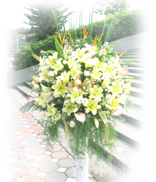 Congratulation. The New Opening,Moving,Advance In Office, Being Promoted. Wedding Ceremony TWROME12AA020