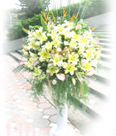 Congratulation. The New Opening,Moving,Advance In Office, Being Promoted. Wedding Ceremony TWROME12AA020