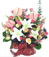 Lily. Flamingo. Rose. Raises blue. Green leaves