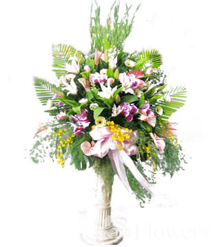  Congratulation. The New Opening,Moving,Advance In Office, Being Promoted. Wedding Ceremony TWROME12AA019