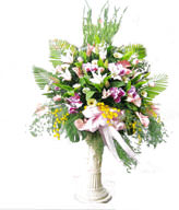  Congratulation. The New Opening,Moving,Advance In Office, Being Promoted. Wedding Ceremony TWROME12AA019