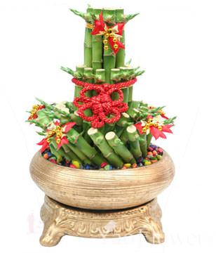 FENGSHUI PLANTS,GONG XI FA CAI PLANTS,Wealth opened games bamboo.40CMX30CM