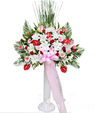 Congratulation. The New Opening,Moving,Advance In Office, Being Promoted. Wedding Ceremony TWROME12AA021