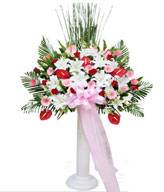 Congratulation. The New Opening,Moving,Advance In Office, Being Promoted. Wedding Ceremony TWROME12AA021