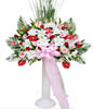 Congratulation. The New Opening,Moving,Advance In Office, Being Promoted. Wedding Ceremony TWROME12AA021