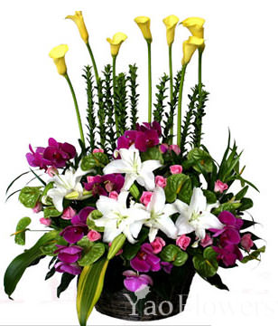 Yellow Lilies. Perfume lily. Butterfly orchid. Green flamingo. Rose. Green Leaves