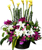 Yellow Lilies. Perfume lily. Butterfly orchid. Green flamingo. Rose. Green Leaves