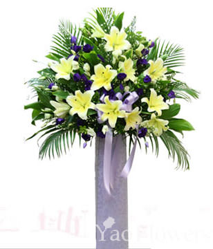 Sympathy and Funeral