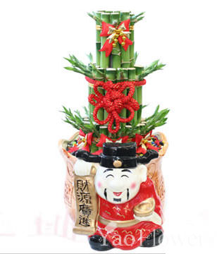GONG XI FA CAI PLANTS,Wealth opened games bamboo