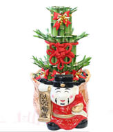 GONG XI FA CAI PLANTS,Wealth opened games bamboo