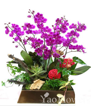 Orchid Man Tianhong. sketch. jewelry. Sepak takraw. dead wood 