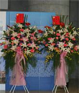 Congratulation. The New Opening,Moving,Advance In Office, Being Promoted. Wedding Ceremony TWCONG12AA027