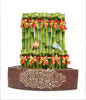 FENGSHUI PLANTS,GONG XI FA CAI PLANTS,Wealth opened games bamboo. 30CMX30CM