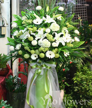 Congratulation. The New Opening,Moving,Advance In Office, Being Promoted. Wedding Ceremony TWCONG12AA026