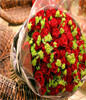 99 Red Roses,Green Leaves