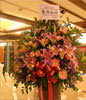 For Congratulation. Birthday,The New Opening,Moving,Advance In Office, Being Promoted. Wedding Ceremony