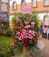 For Congratulation. Birthday,The New Opening,Moving,Advance In Office, Being Promoted. Wedding Ceremony