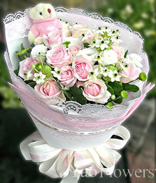 15 pink roses,bear