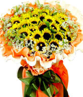 33 SunFlowers