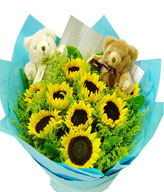 Sunflower 9. Unicorn grass,2 bears